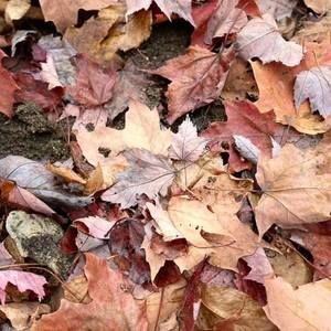 Meet your Posher, Karina